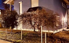 Theblue Oak Apartments